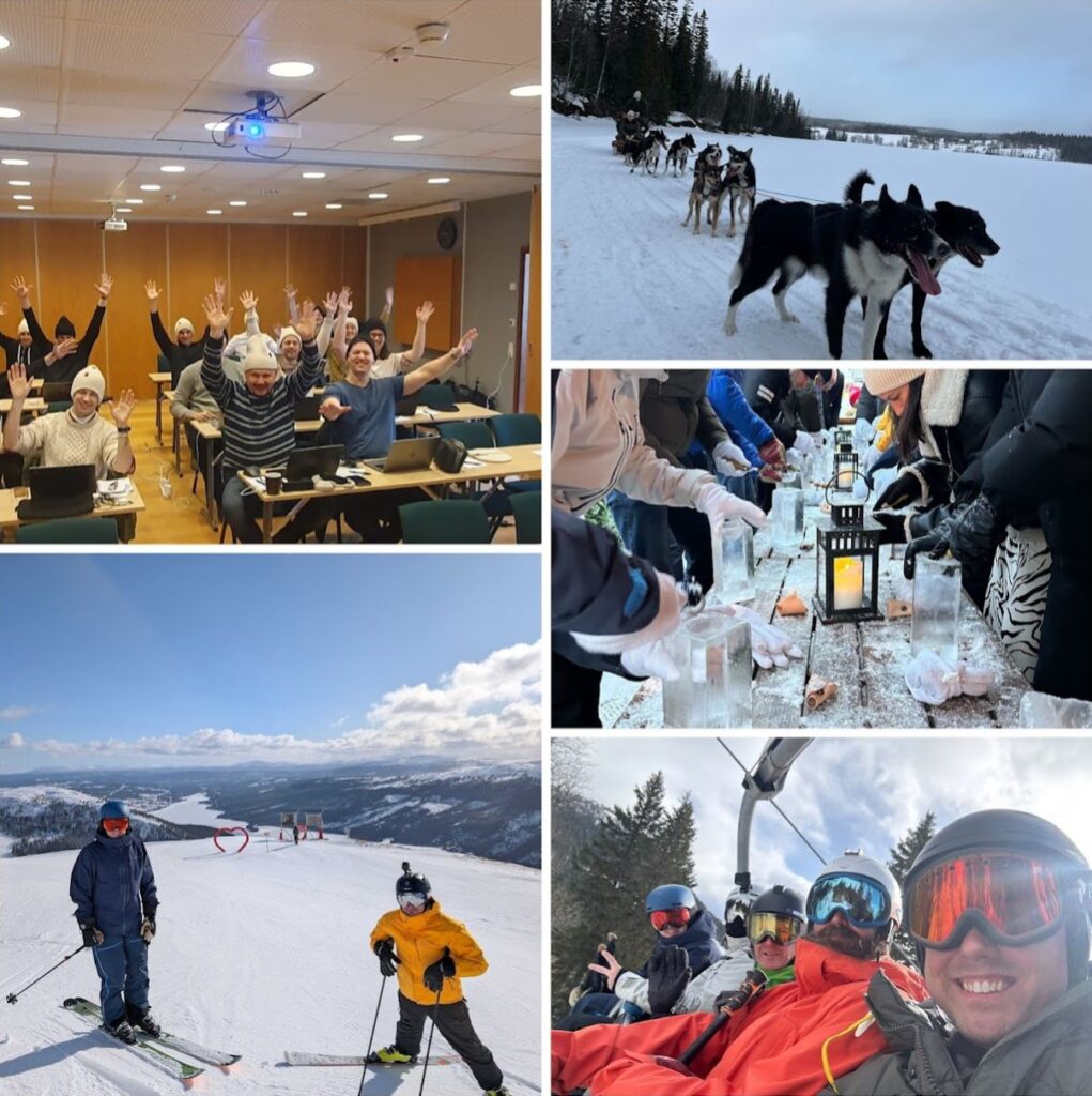 Alphadev på konferens i Åre